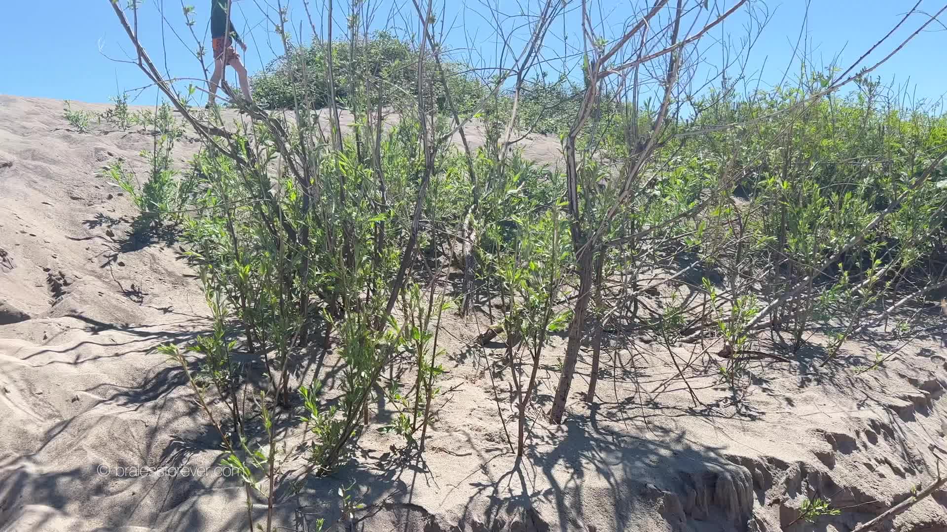 Video 593496 from Bitchinbubba / bralessforever