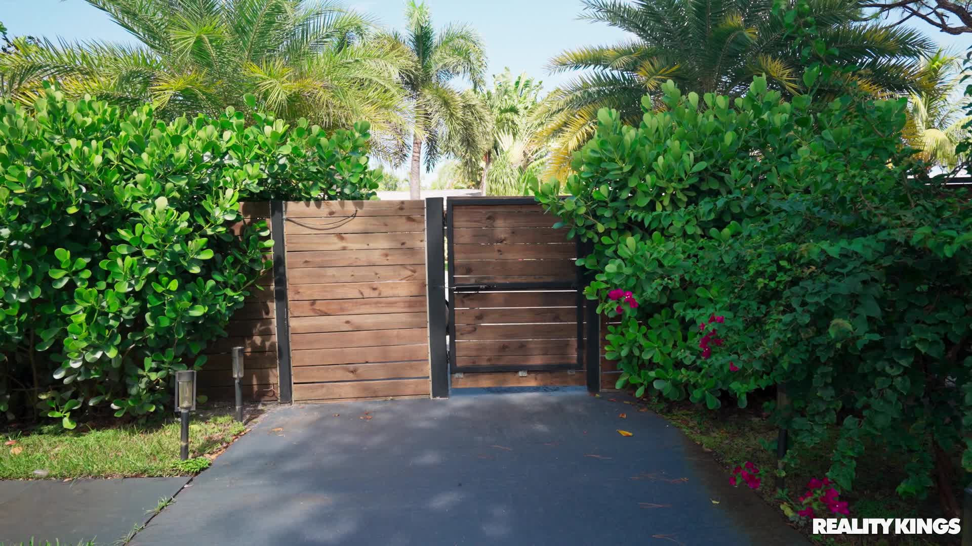 Video 594951 from Damion Dayski