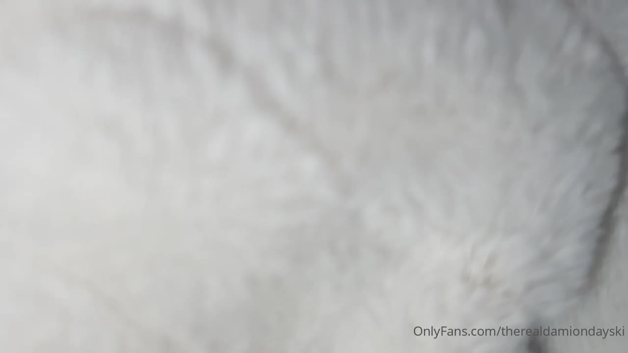 Video 595502 from Damion Dayski