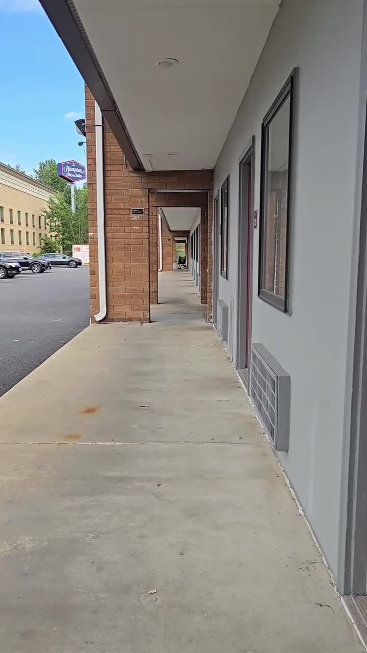 Video 595981 from Women of Professional Wrestling