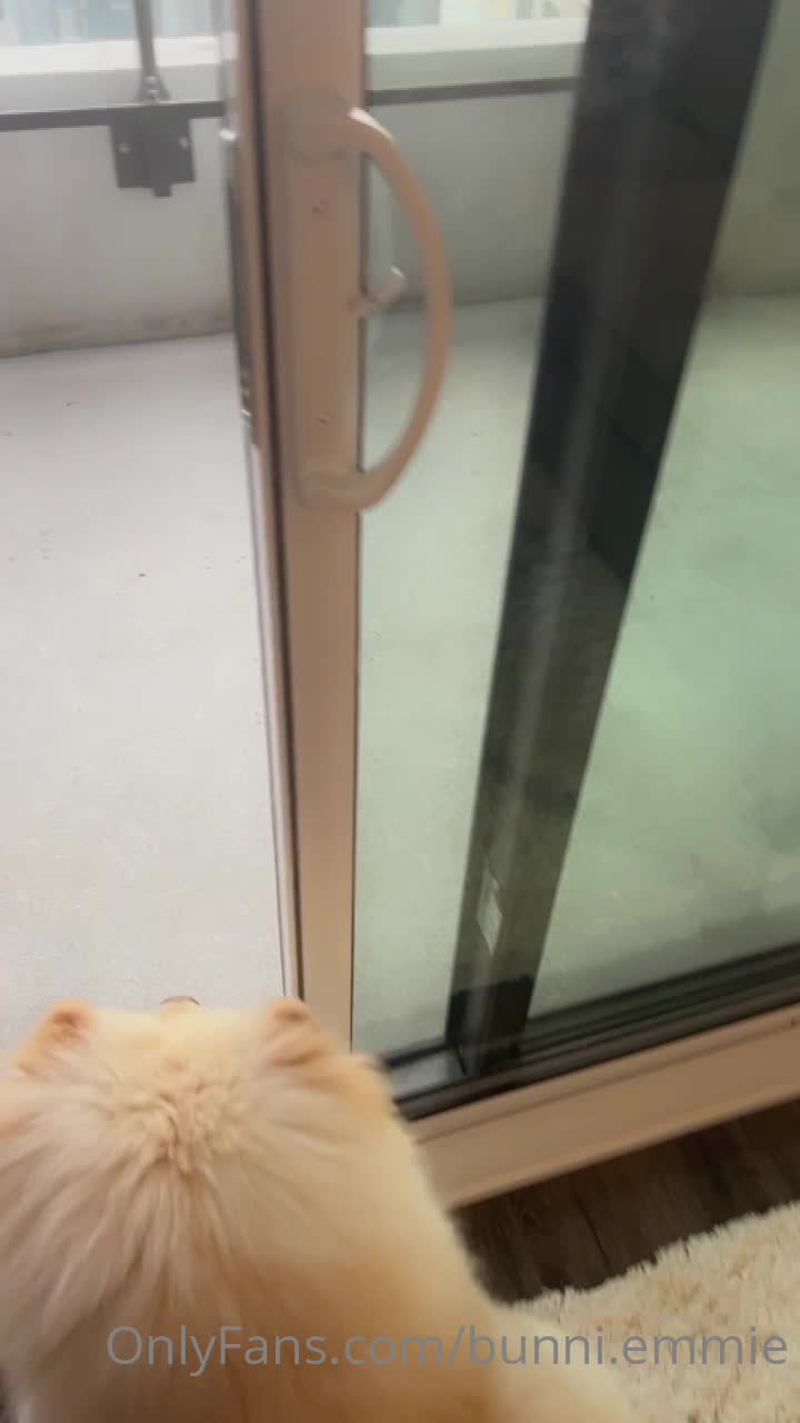 Video 596313 from Emma Lvxx / bunni.emmie / emma.lvxx