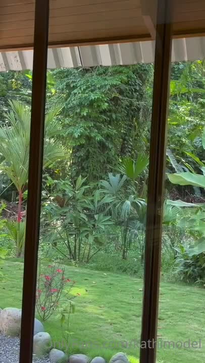 Video 596314 from Kathycr