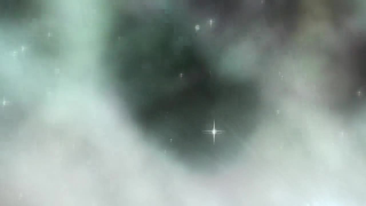 Video 599419 from Codi vore / codivore