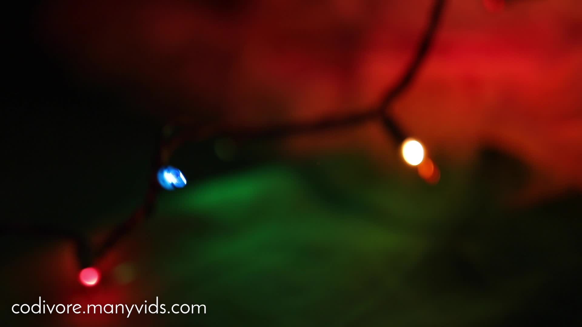 Video 599593 from Codi vore / codivore