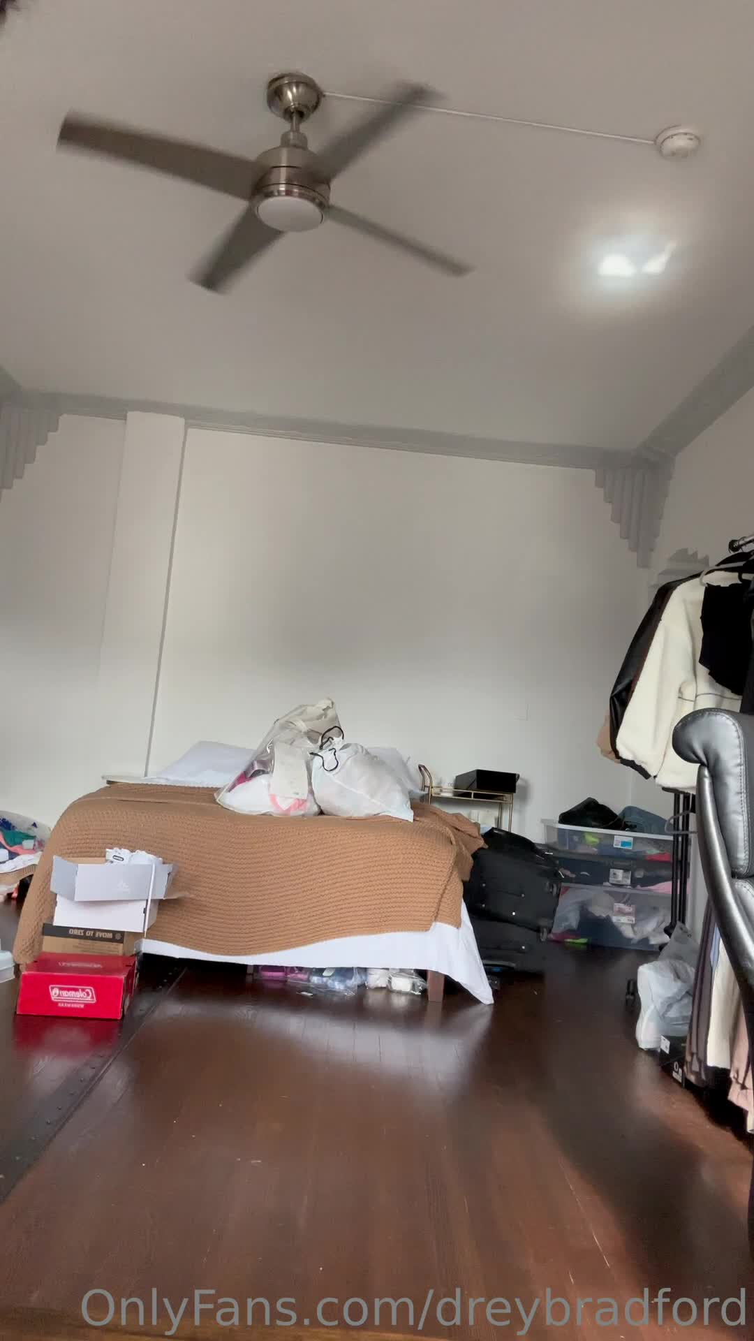 Video 599900 from Audrey Bradford / dreybradford