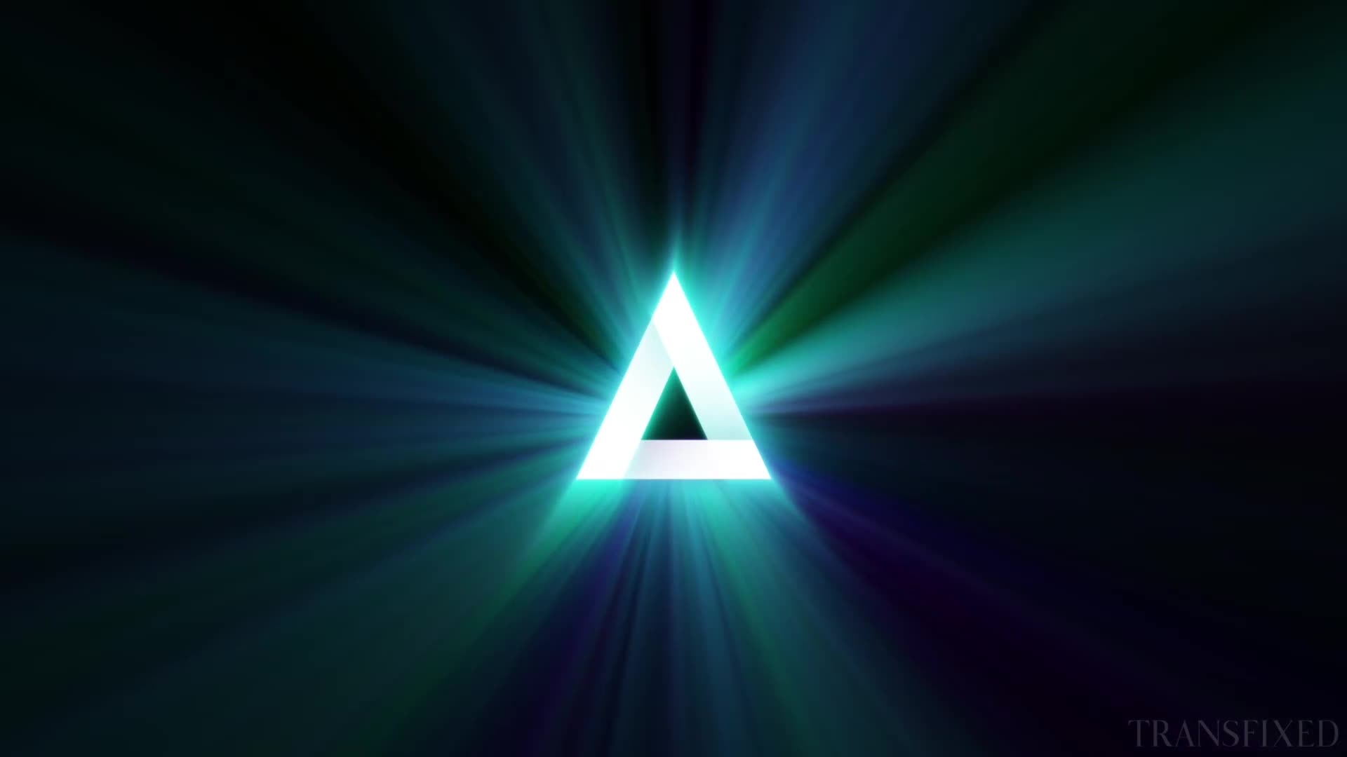 Video 600115 from Codi vore / codivore