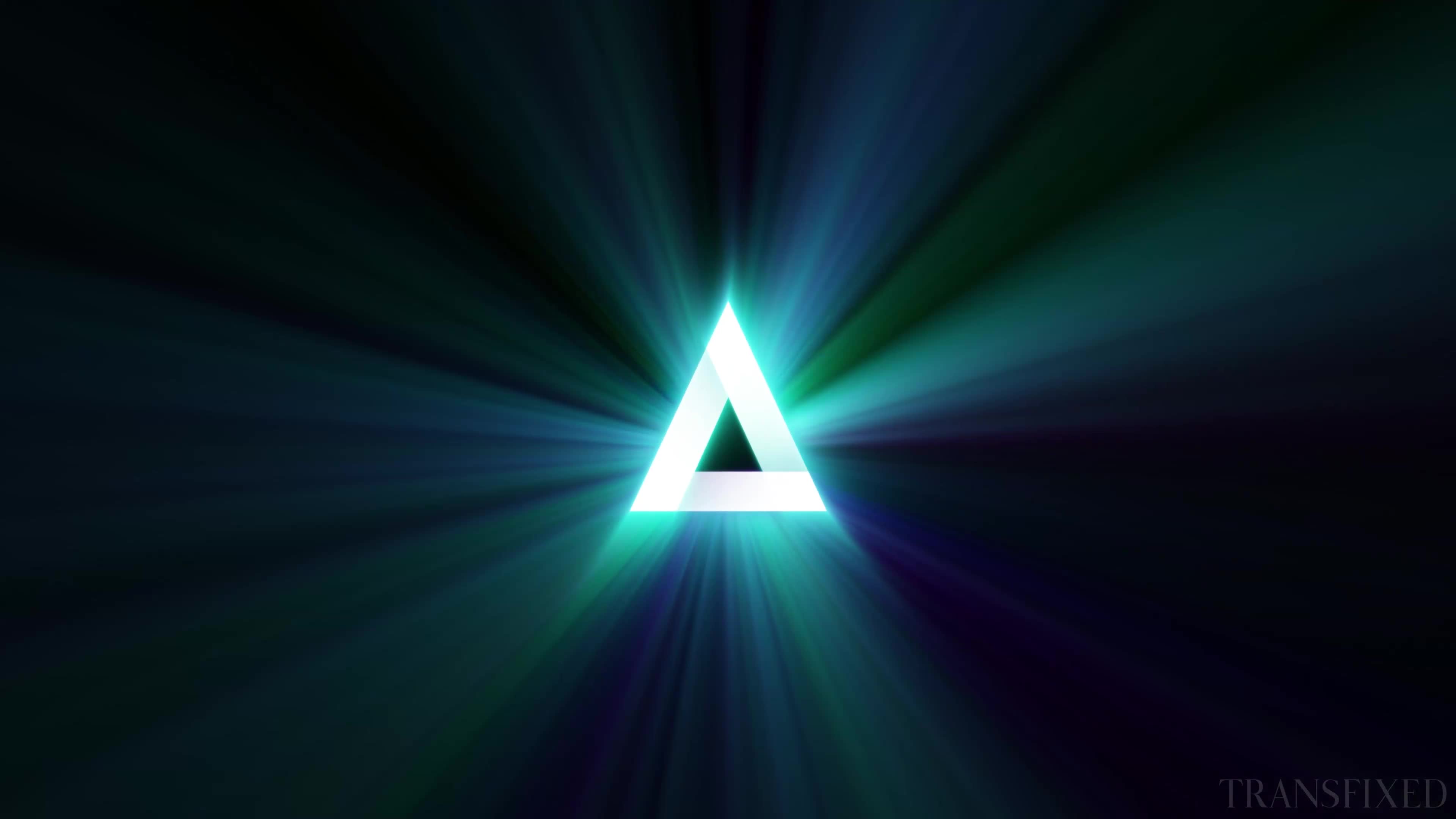 Video 600573 from Codi vore / codivore