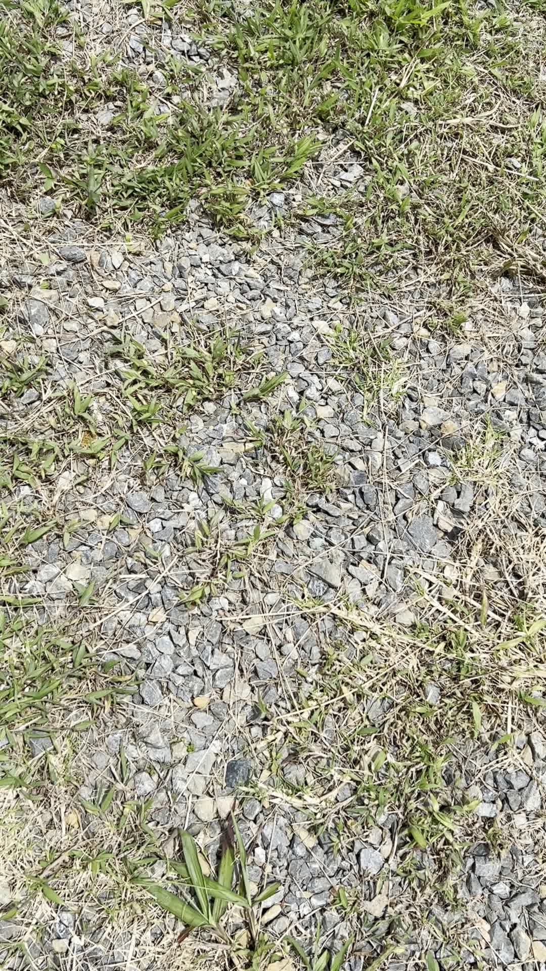 Video 600751 from Frisky Twins | FriskyAna | FriskyIsa