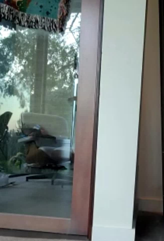 Video 601019 from Kara Corvus