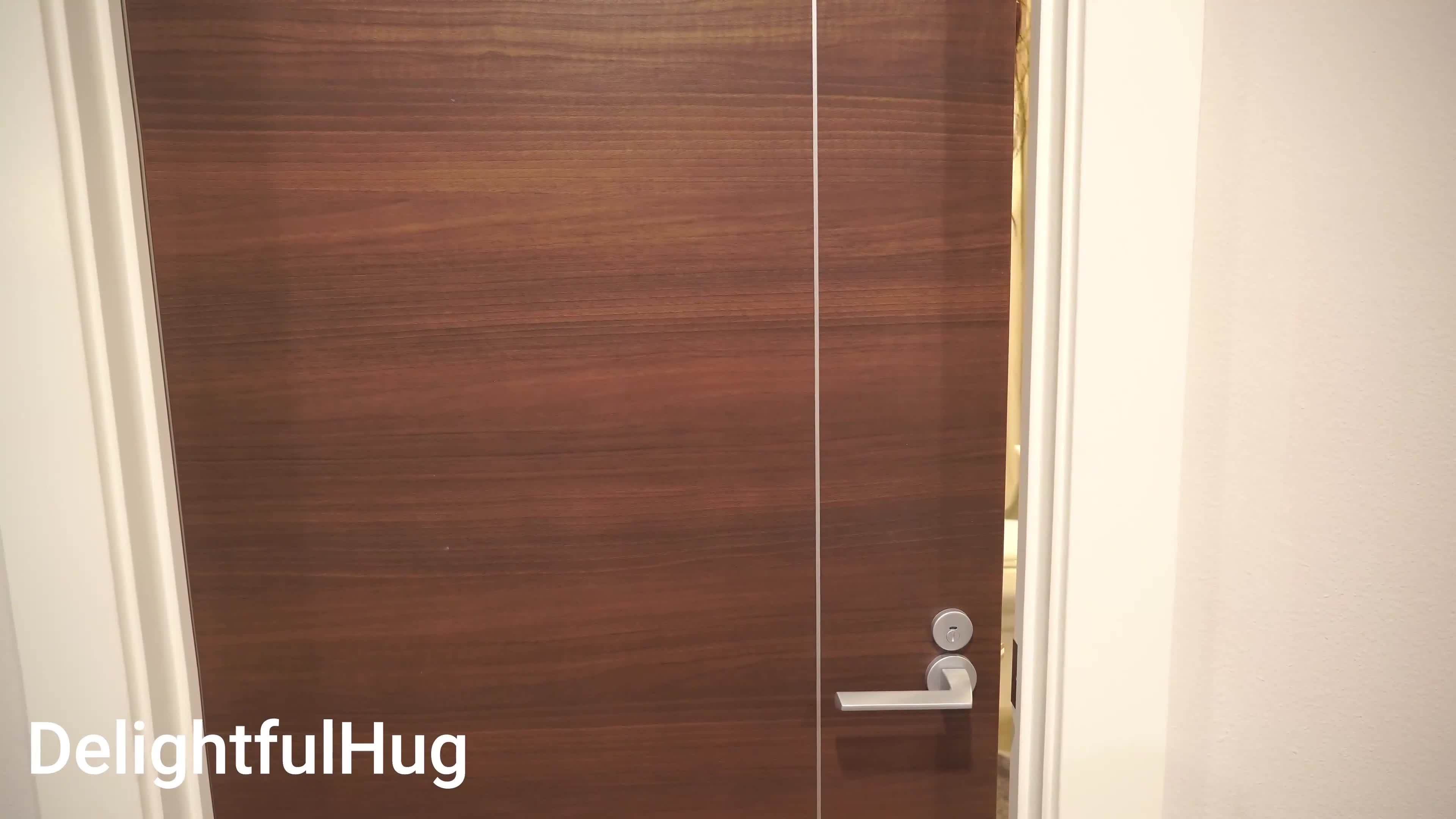 Video 610122 from Delightfulhug