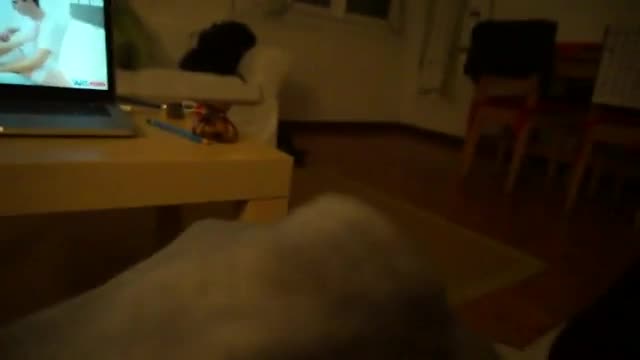 Video 610742 from Erna Burn / Erin O&#039;hara / ernaburnz / oh__erna