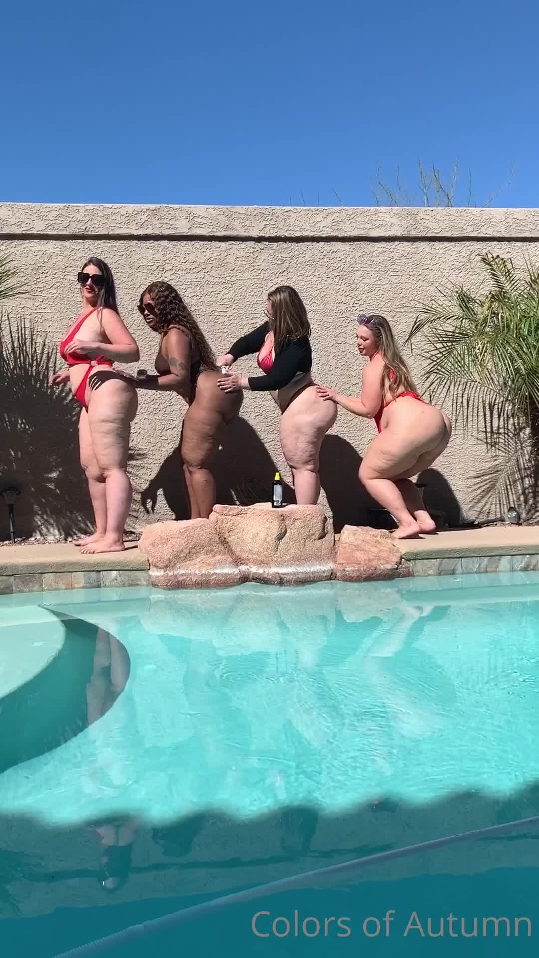 Video 610776 from ColorsOfAutumn