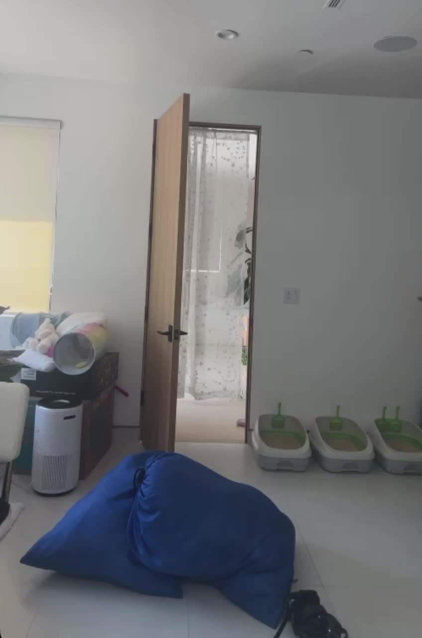 Video 611193 from Jodi | QuarterJade