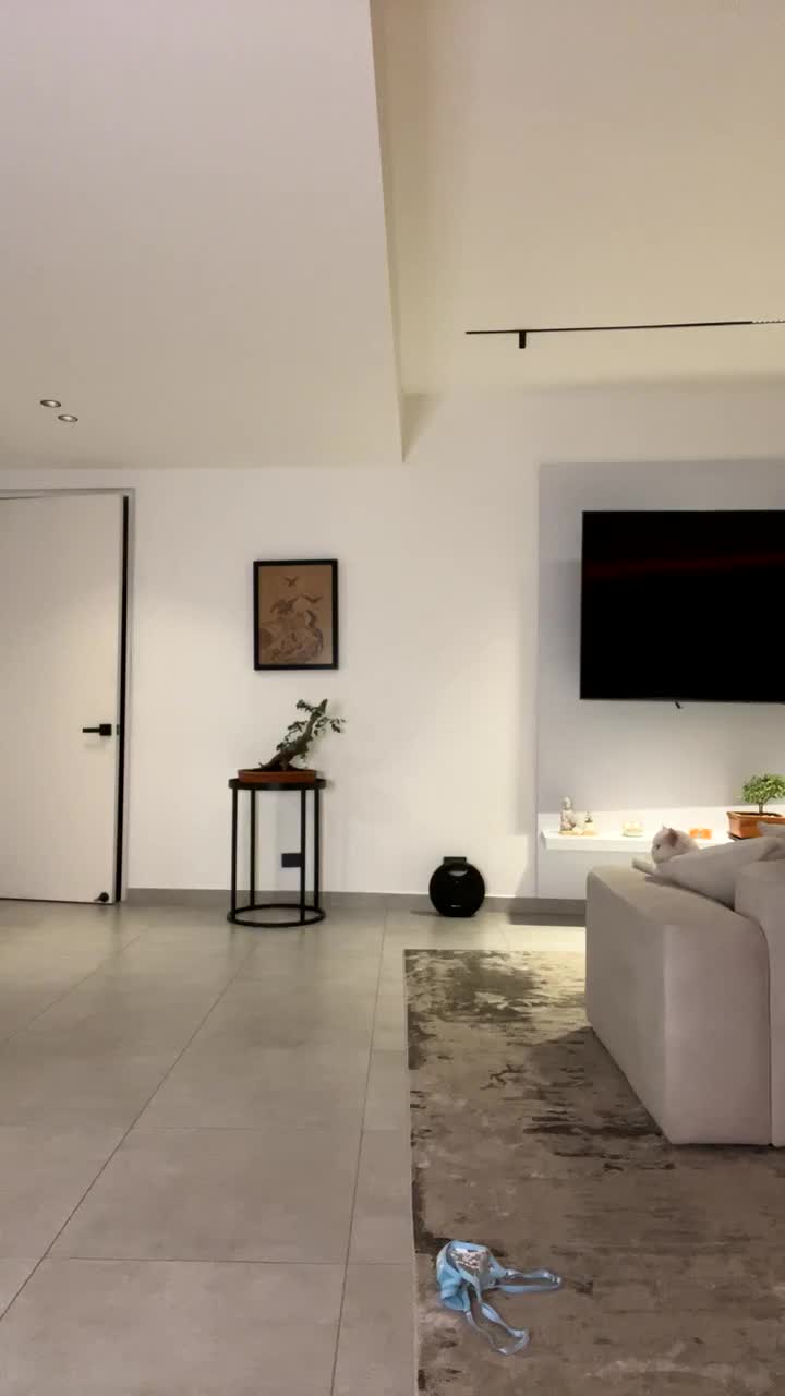 Video 597174 from Maria Alejandra Quintero/Malejandraq