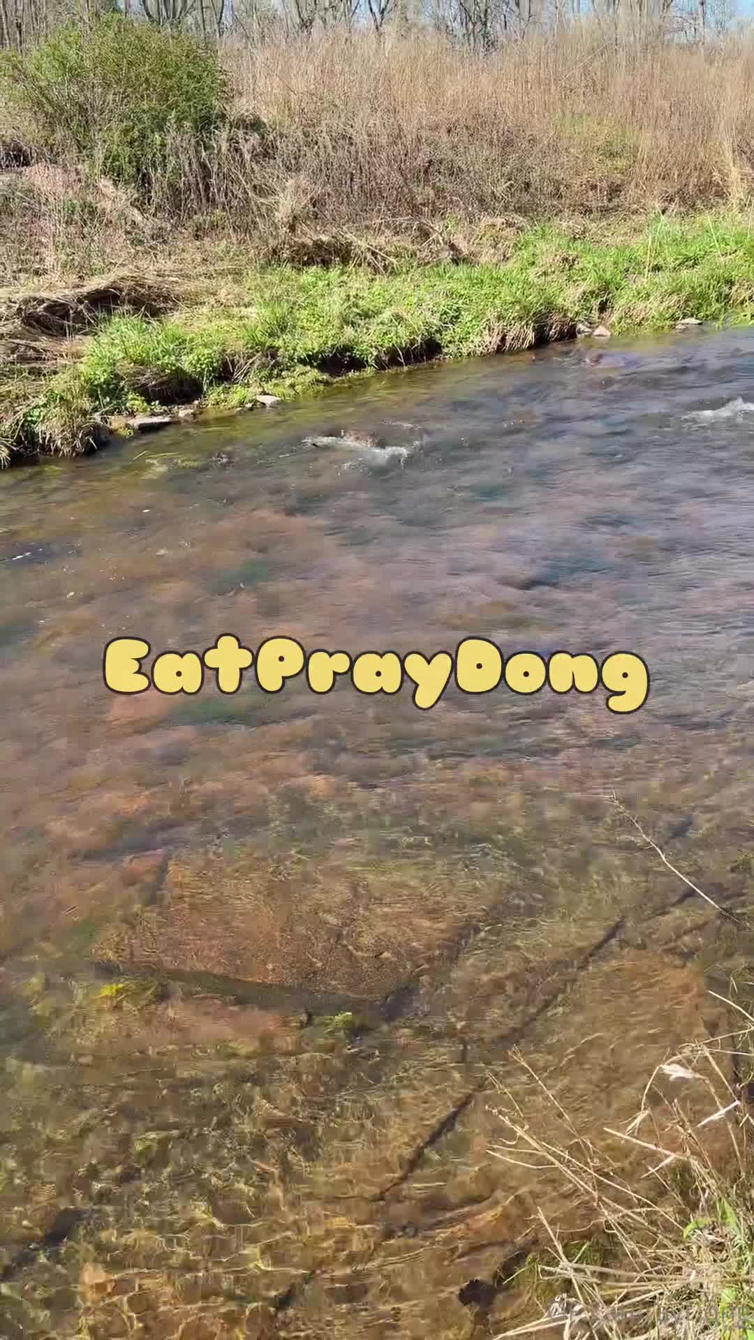 Video 612817 from Eat Pray Dong / EPDTravels