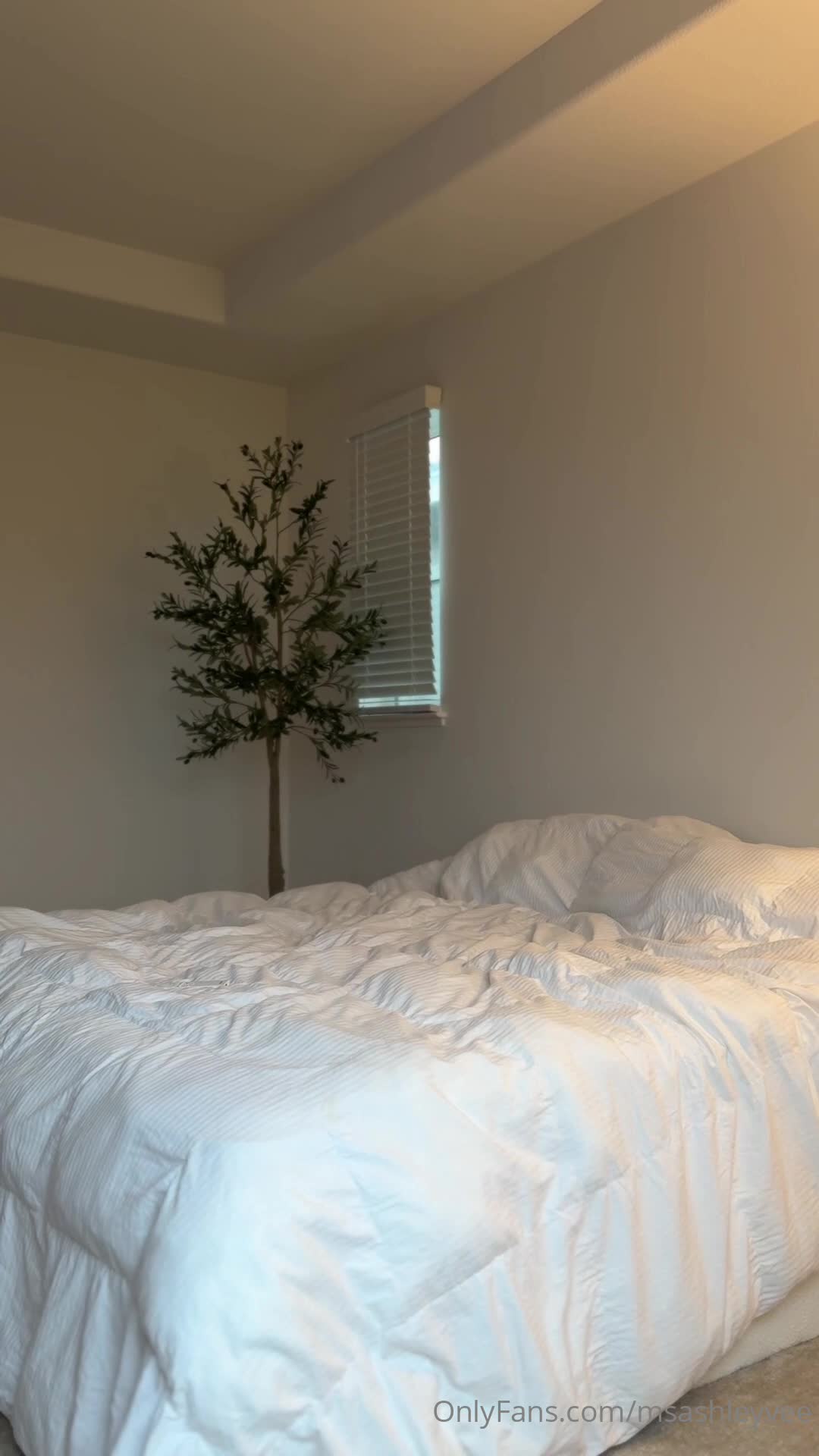 Video 615762 from Ashley Vee / MsAshleyVee