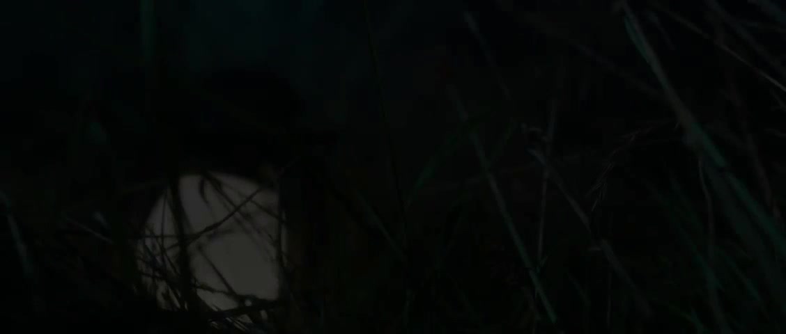 Video 616583 from Damazonia_ / Mistress Damazonia