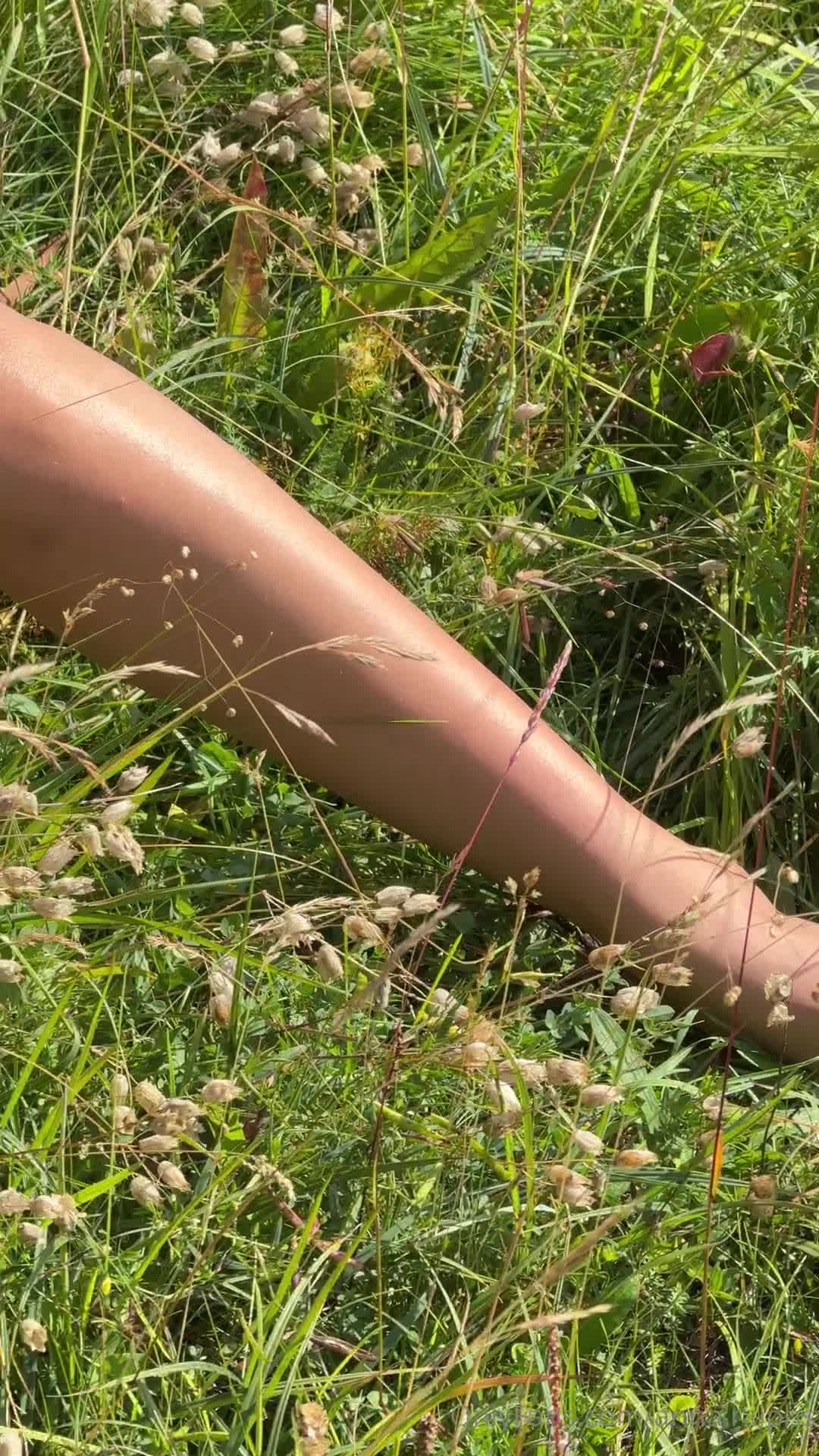 Video 617309 from DeanRalphs / Anna.Ralphs OF