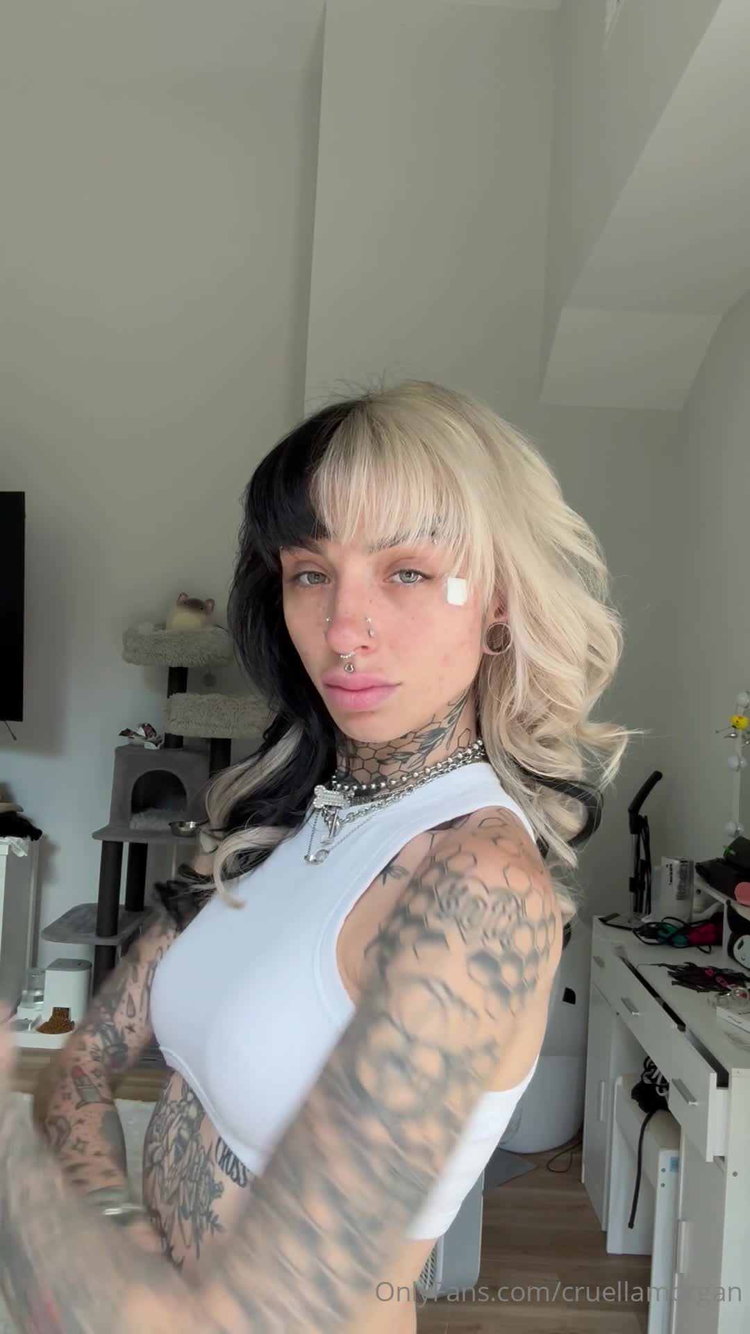 Video 620563 from Cruellamorgan