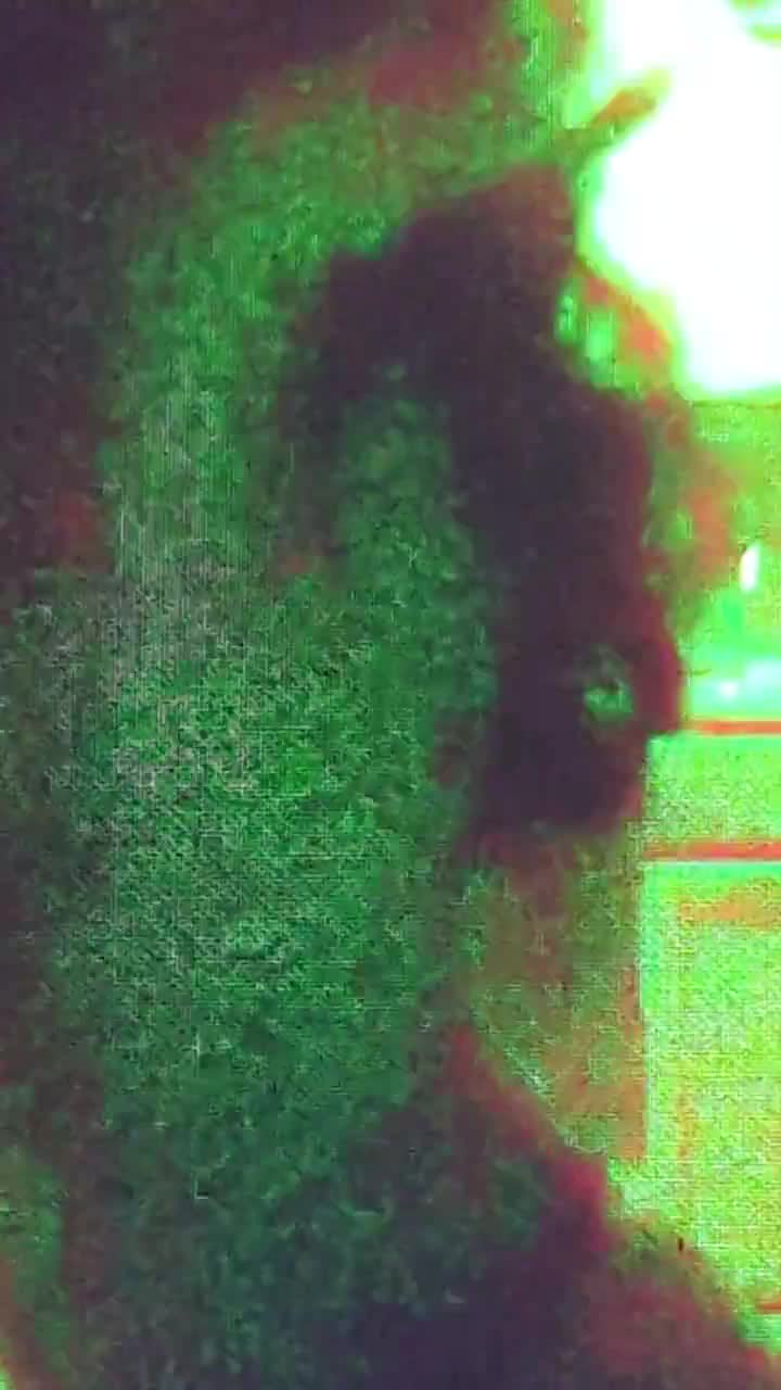 Video 621514 from Giulia Wylde | Neon_Felix