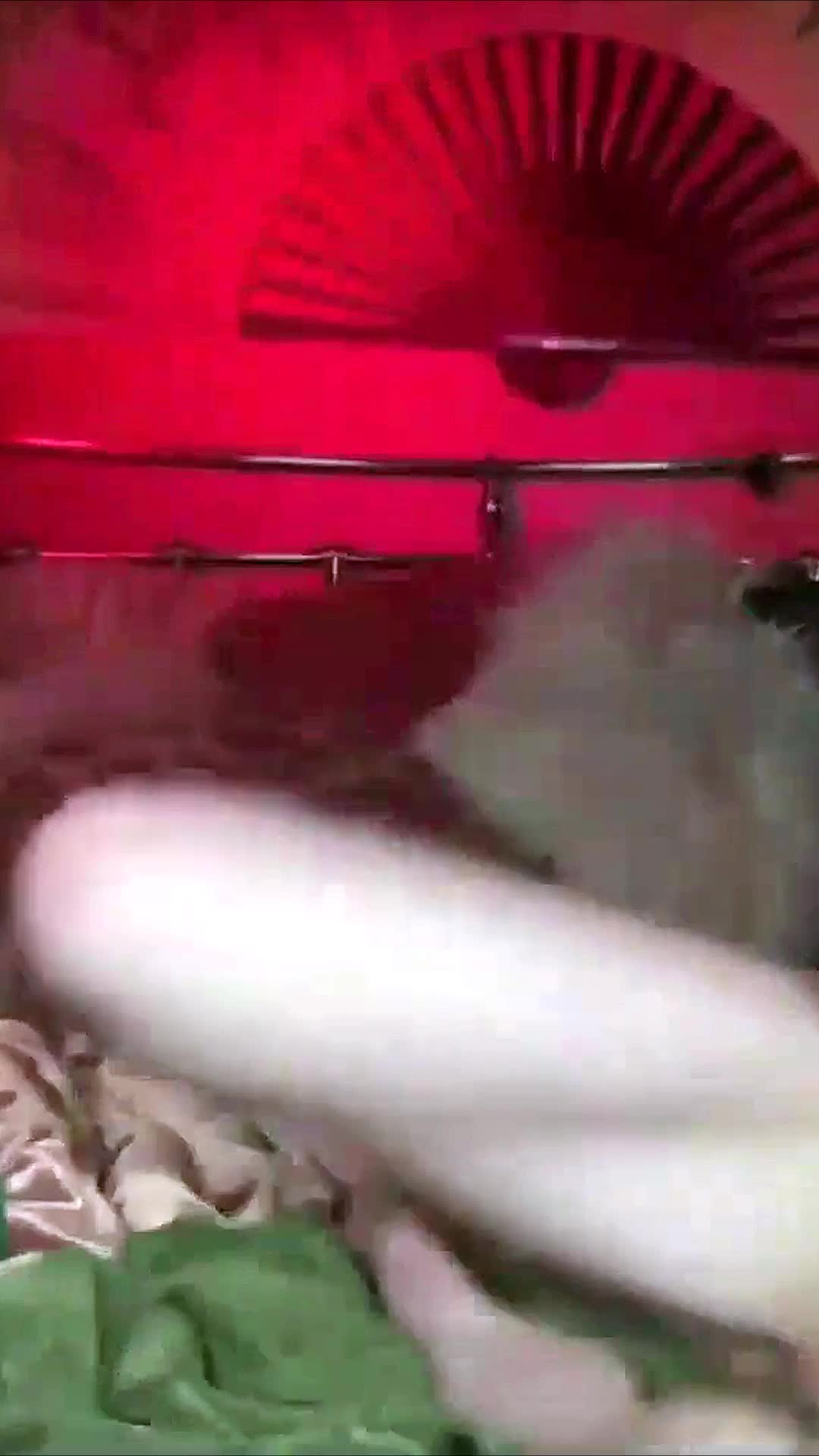 Video 622655 from Renee Olstead / xoreneeo