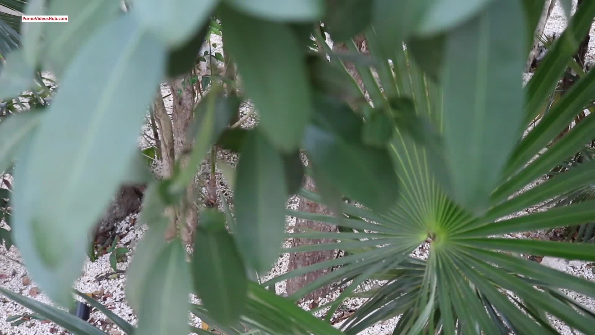 Video 623400 from Lilylvy | LilylvyMFC | LilyGaia