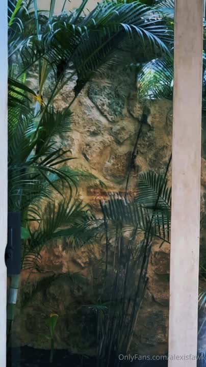 Video 623703 from Alexis Fawx / alexisfawx