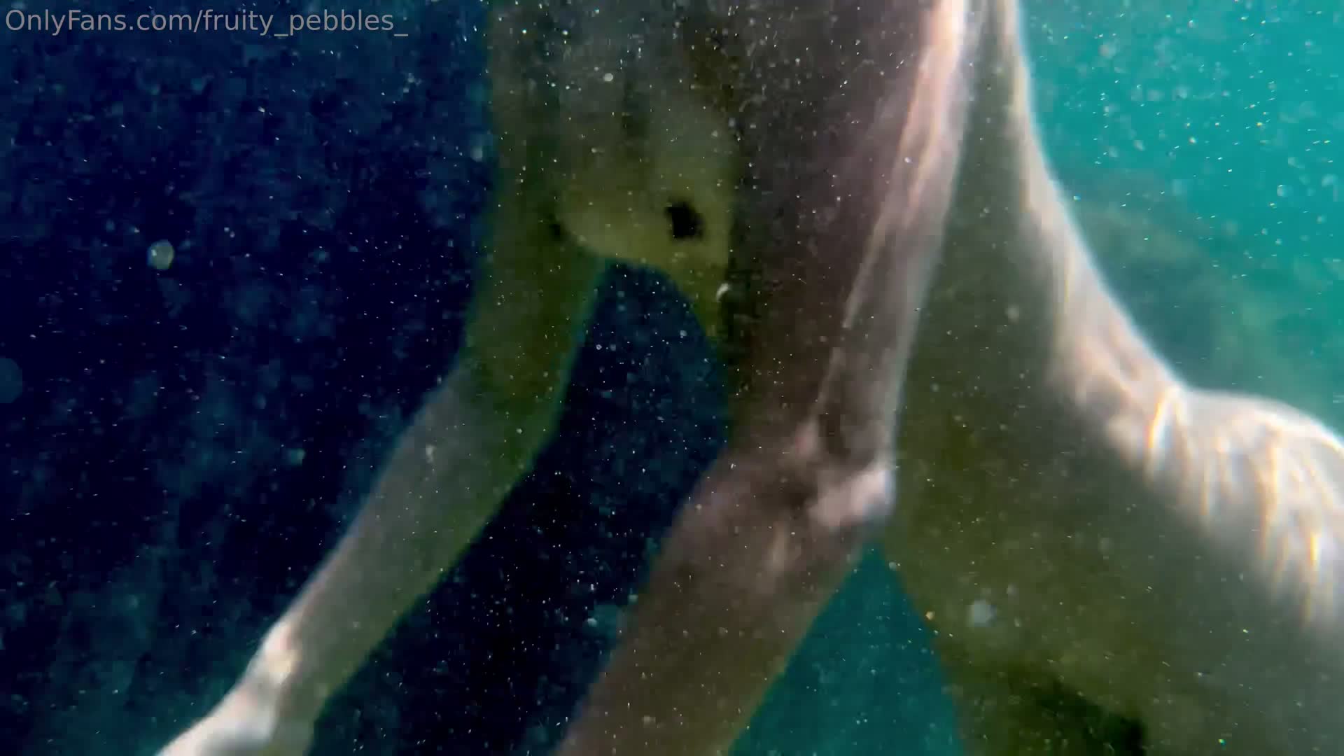 Video 626436 from Fruity Pebbles (Taly Umaña)