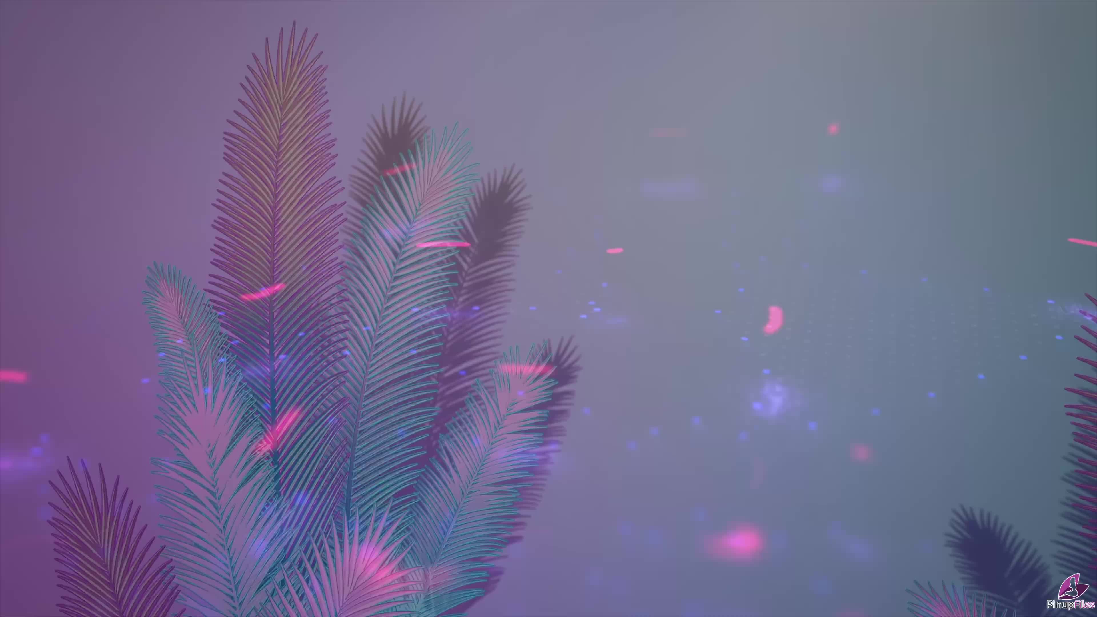 Video 628536 from Sha Rizel