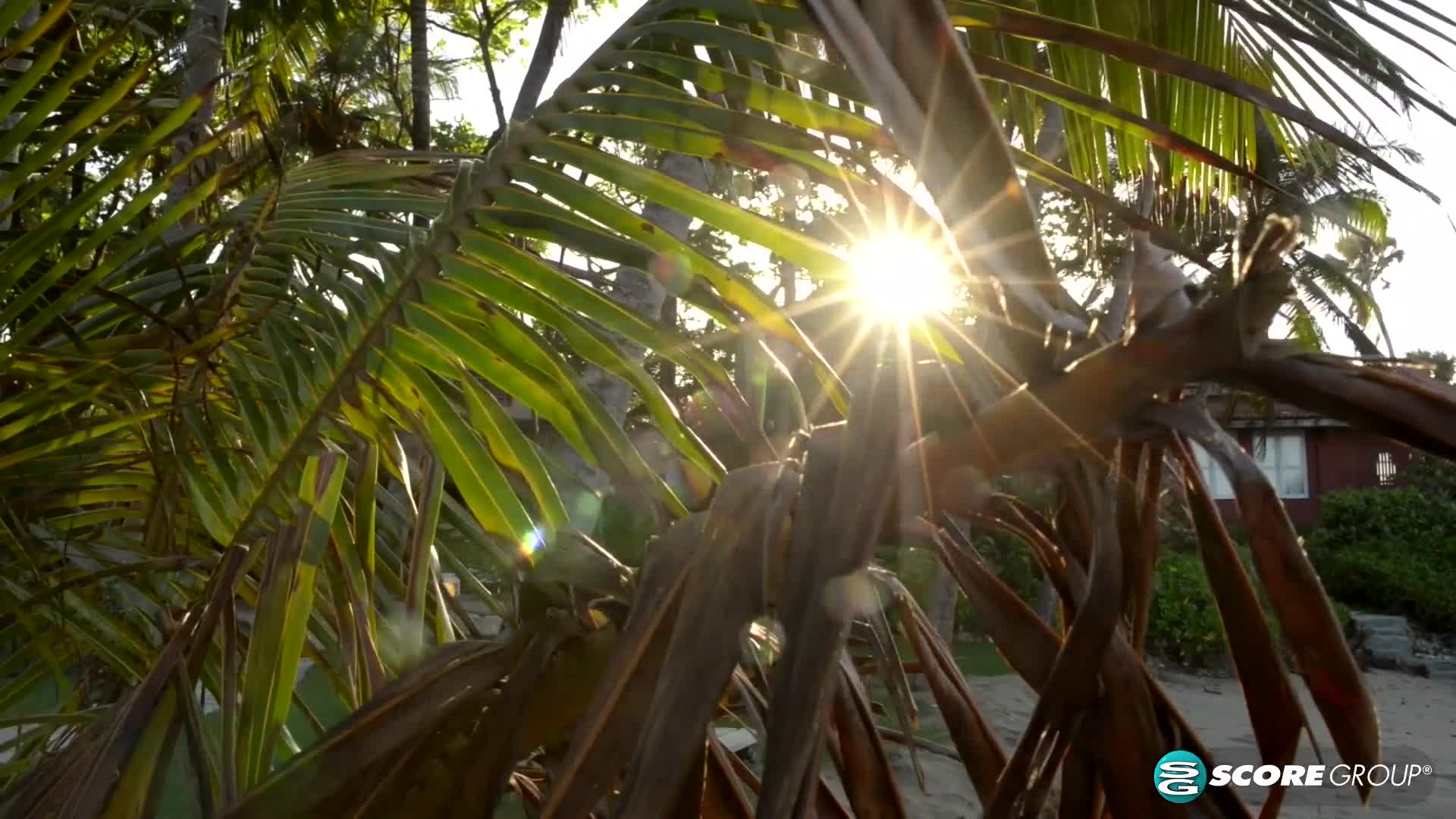 Video 628590 from Sha Rizel