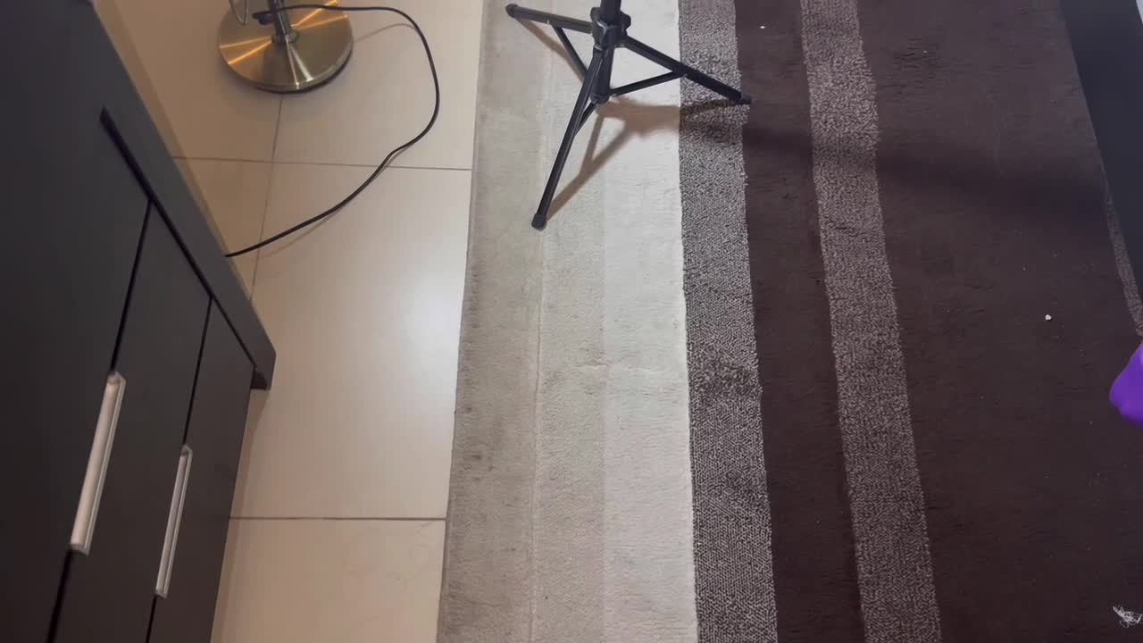 Video 631491 from Yoyowoohplus | Yoyowooh