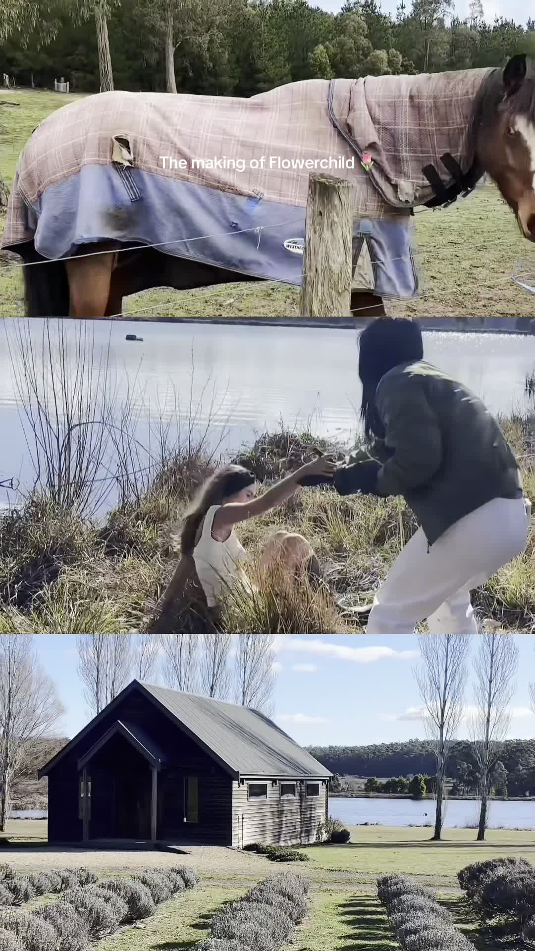 Video 638118 from Emily Feld - emily.feld