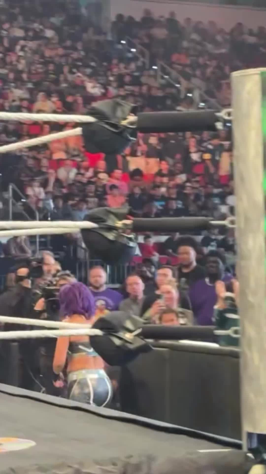 Video 638684 from WWE Bayley / Davina Rose / Pamela Rose Martinez