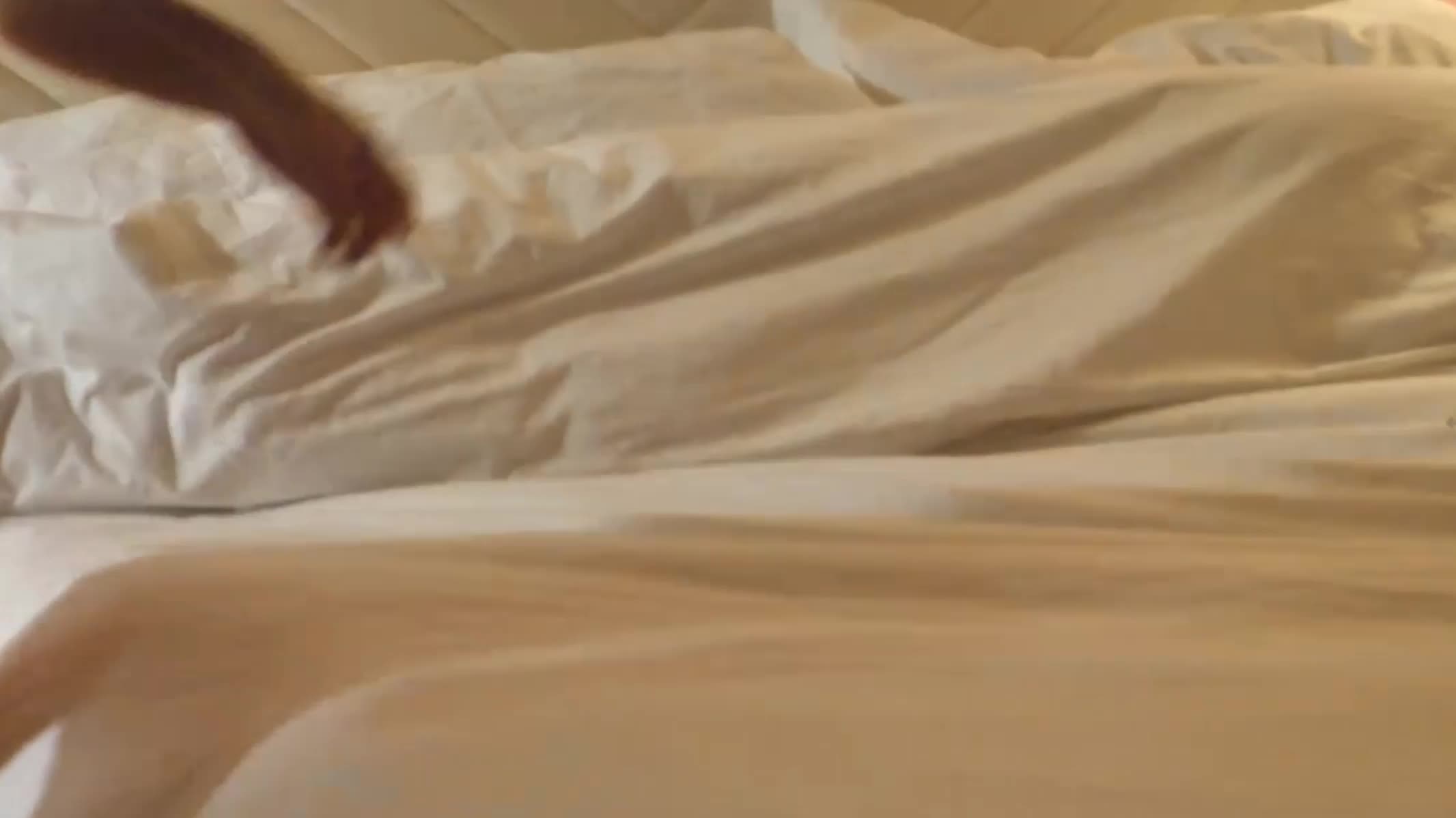 Video 639653 from Kateelife/ Katee Owen