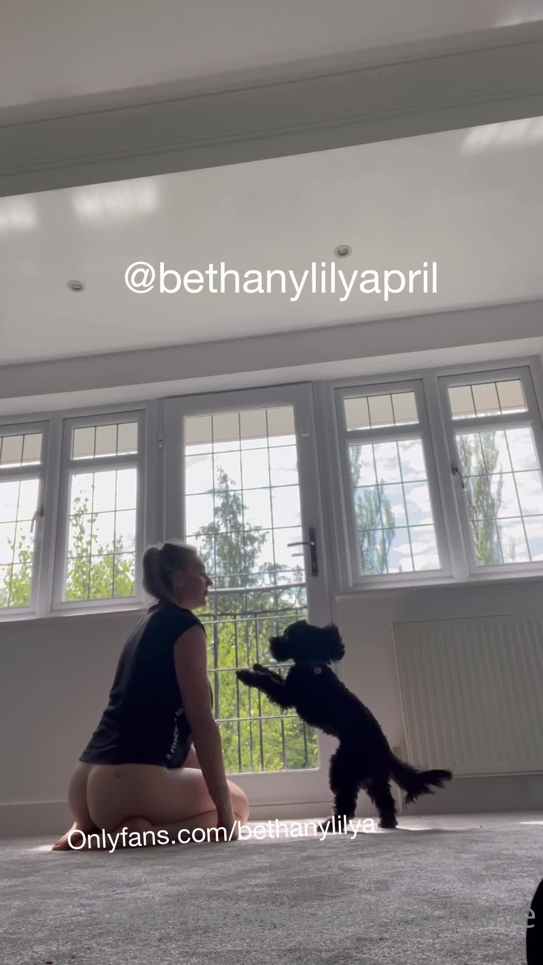 Video 640338 from Beth Lily