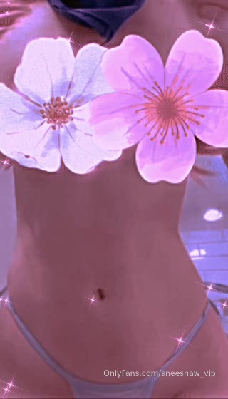 Video 640568 from Sneesnaw