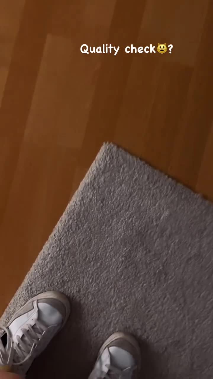 Video 642362 from Cata Leyah / cata.leyah / cataleyah_ / leyahcata