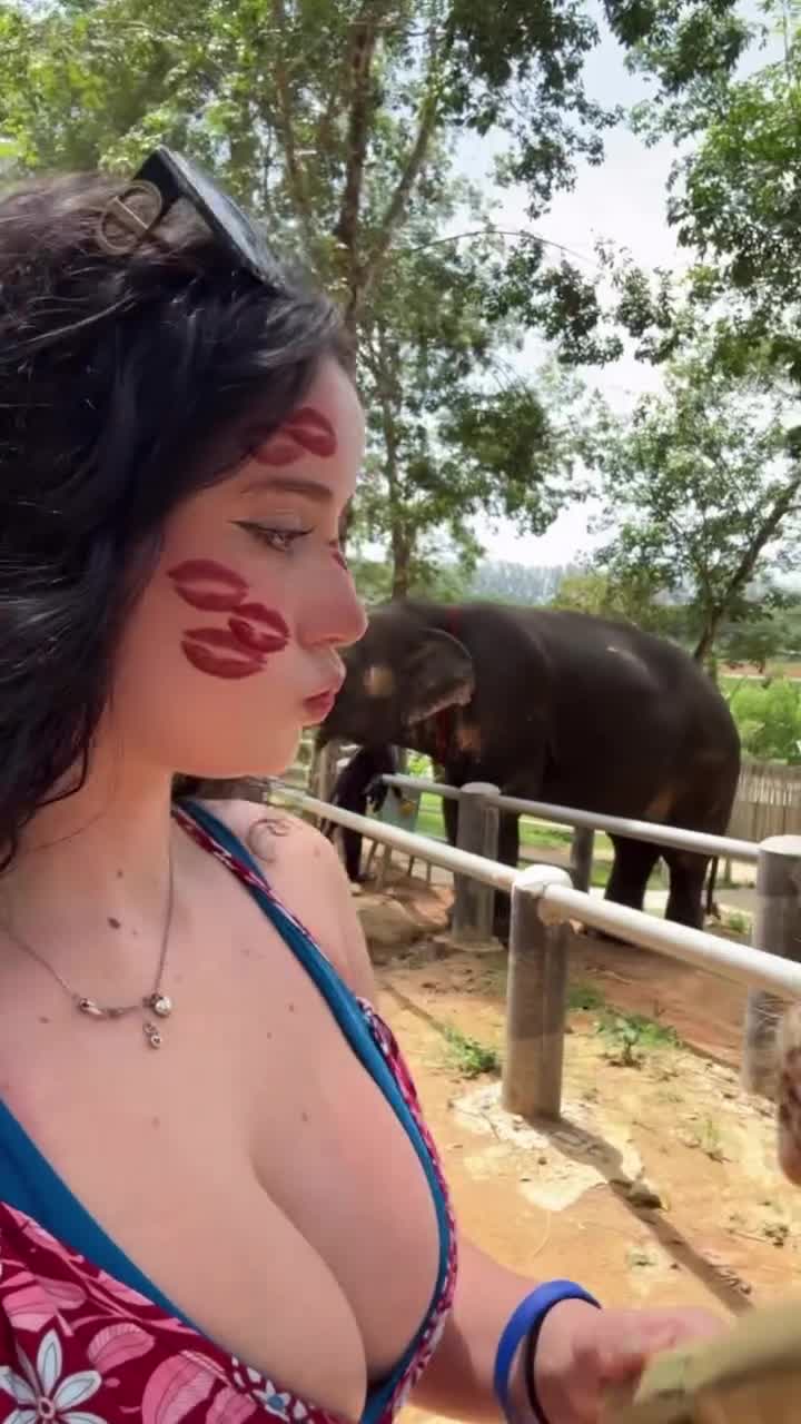 Video 645151 from Hotblockchain / Emily Cocea / cryptobaddie1