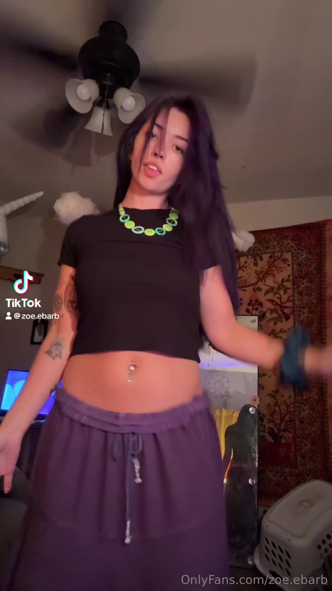 Video 646160 from zoe.ebarb