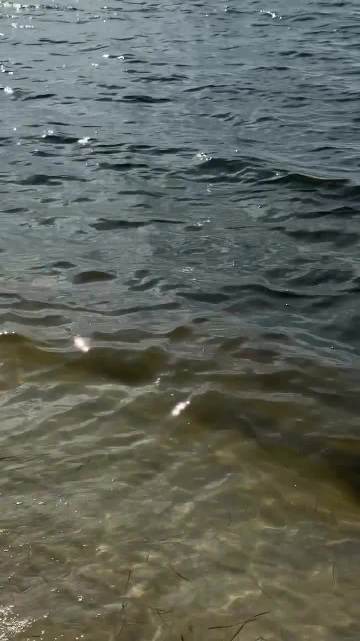 Video 646880 from hadelinemope / Maddie Hope