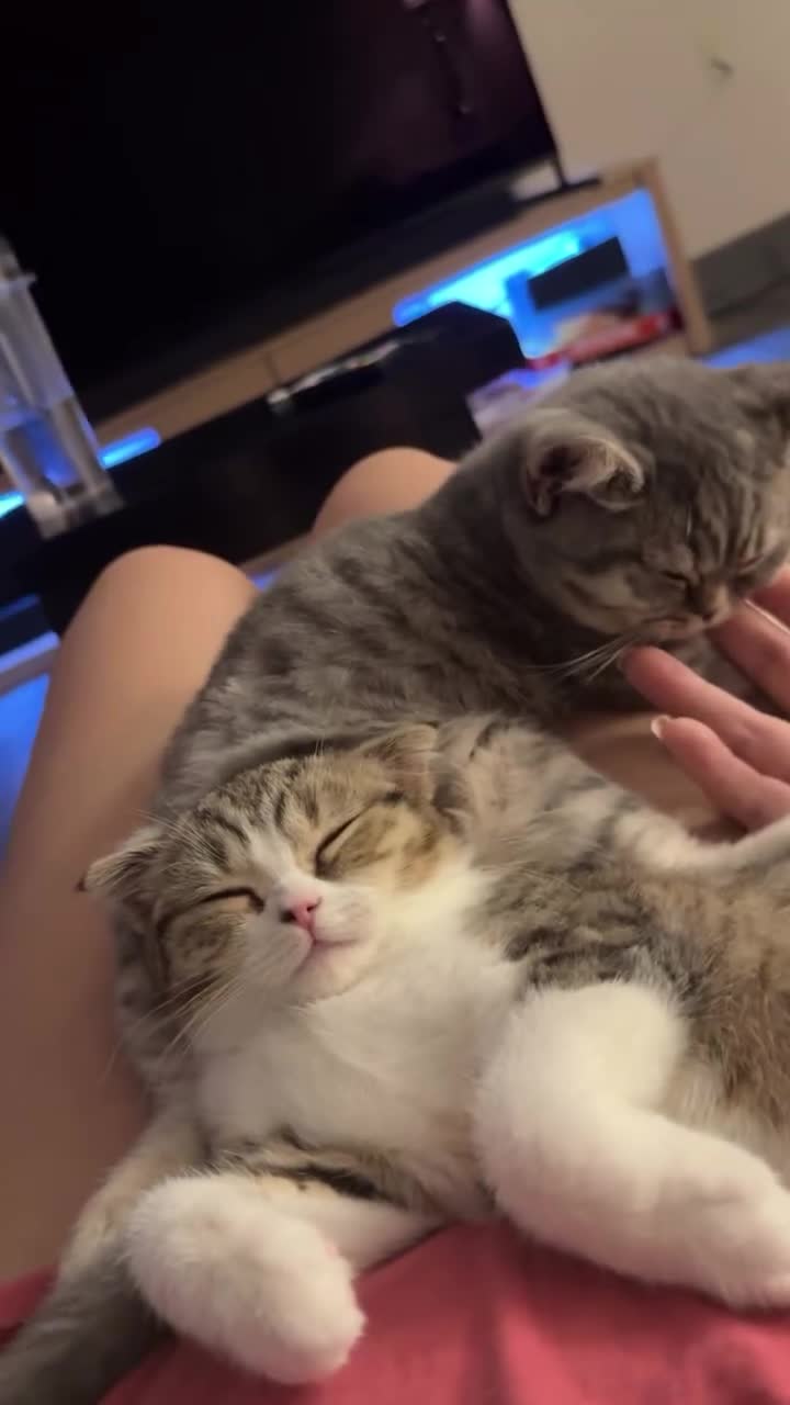 Video 648100 from soulreapermae/bnymae/misssrinn