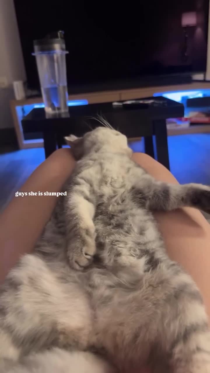 Video 648101 from soulreapermae/bnymae/misssrinn