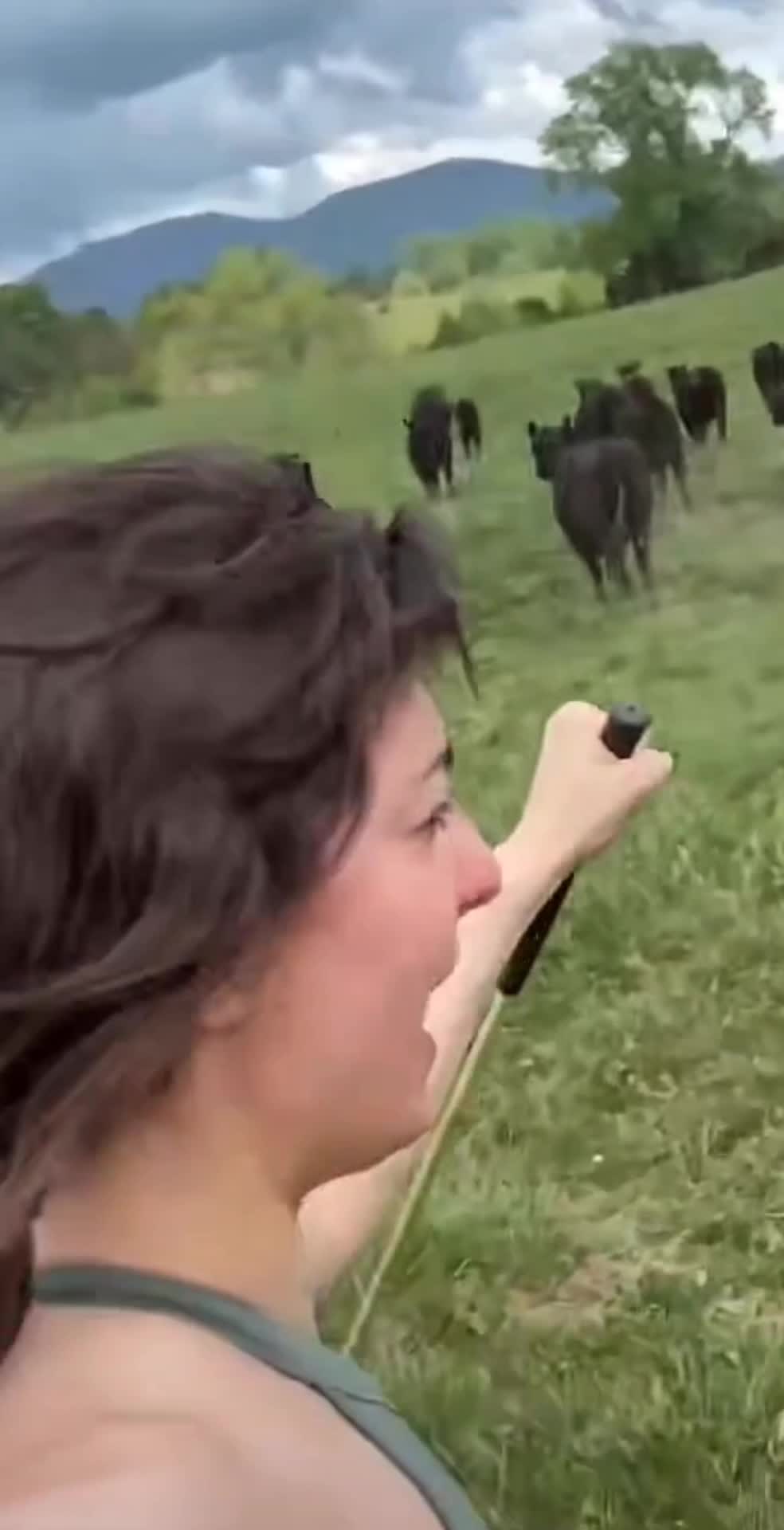 Video 652219 from Rachel Levin / RclBeauty101