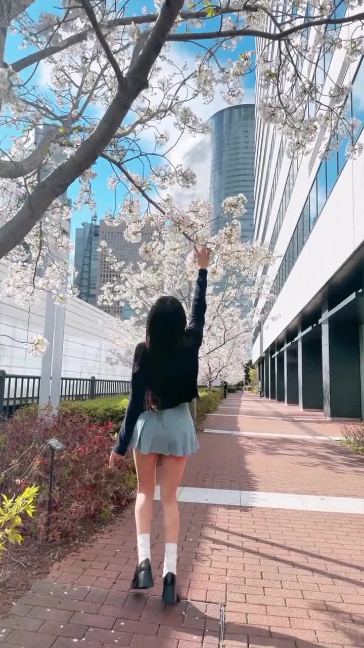Video 653339 from Eunji Pyoapple