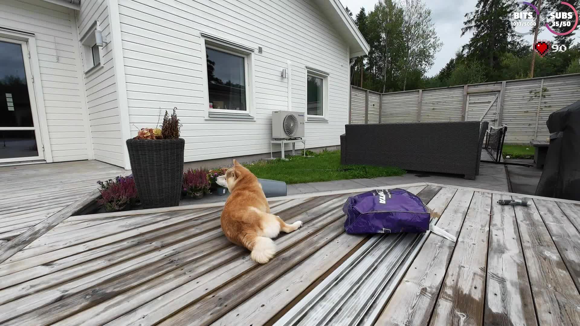 Video 653807 from Miss Mikkaa / missmikkaa