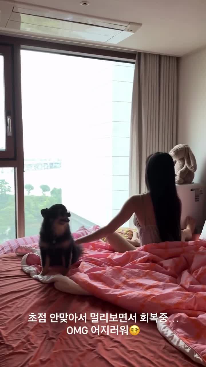 Video 654062 from Eunji Pyoapple