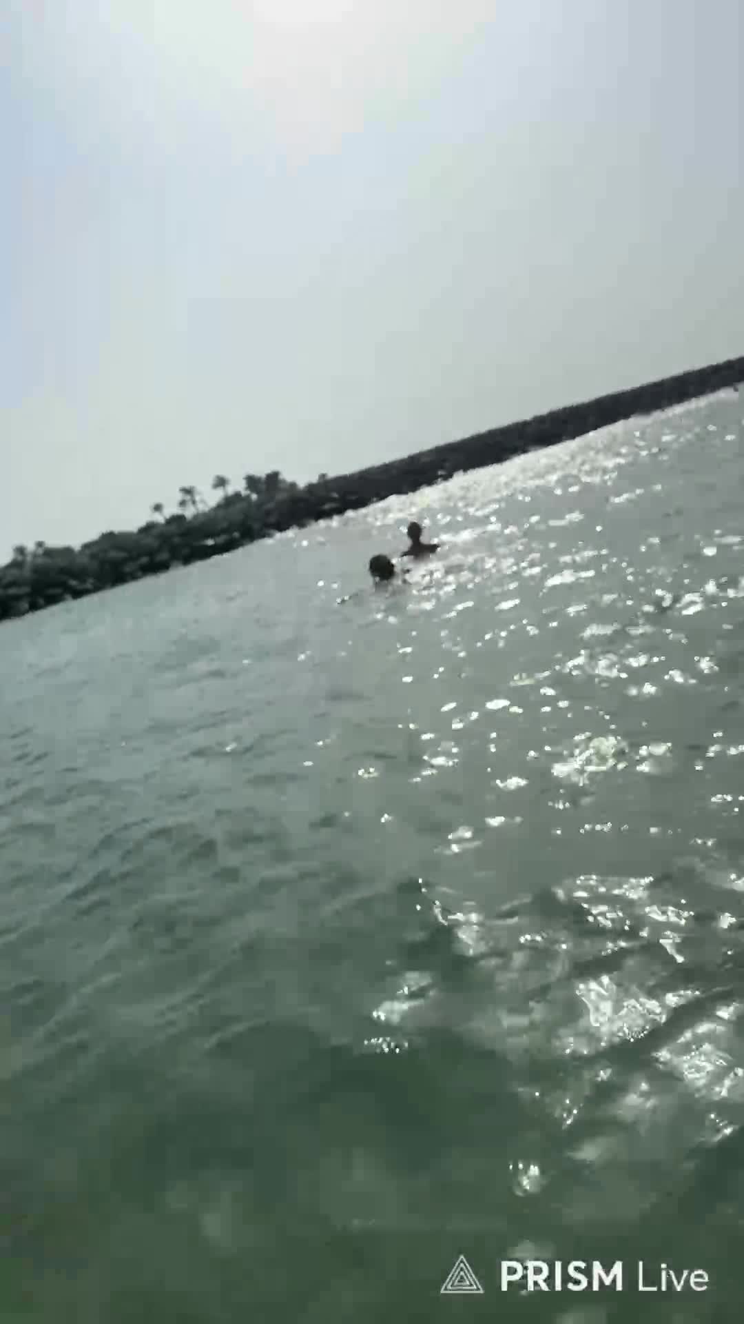 Video 655235 from Nipslips &amp; Just Chatting streamers