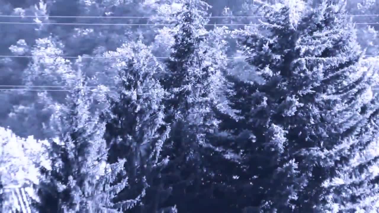 Video 656065 from Kobaebeefboo