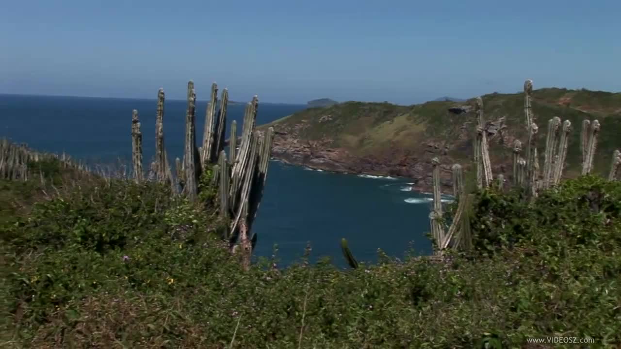 Video 658788 from Nikola Jirásková / Nessa Devil / nikolbxg