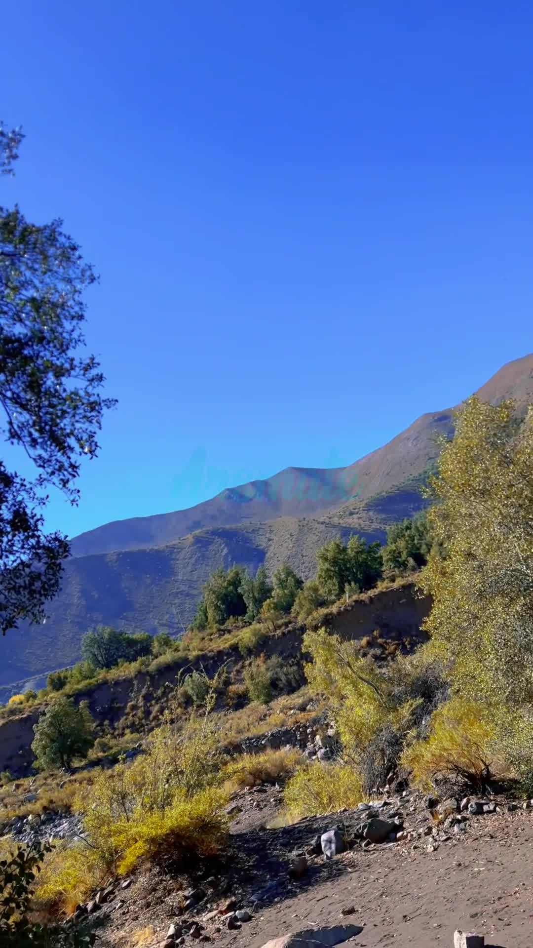 Video 658894 from Elizabeth Maestracci